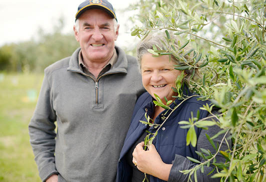 REDs Funding to Expand Yirri Grove Olive Oil Operations