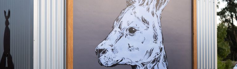 Blue Kangaroo mural at Lucky Bay Brewing in Esperance