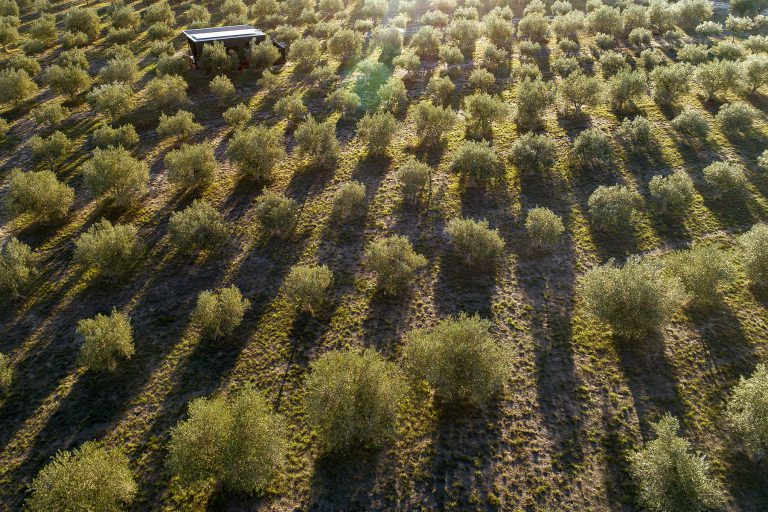 Grants Resources and Support