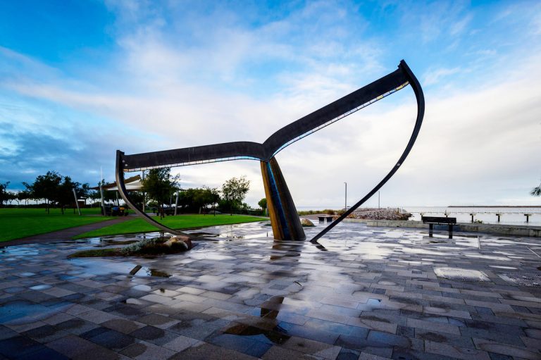 ‘Esperance Whale Tail’ by Cindy Poole and Jason Woolridge