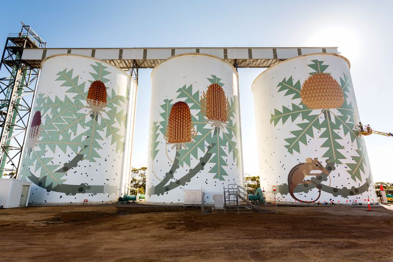 ‘Six Stages of Banksia Baxteria’ by Amok Island