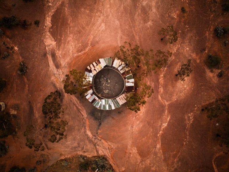 Public Interest Disclosure