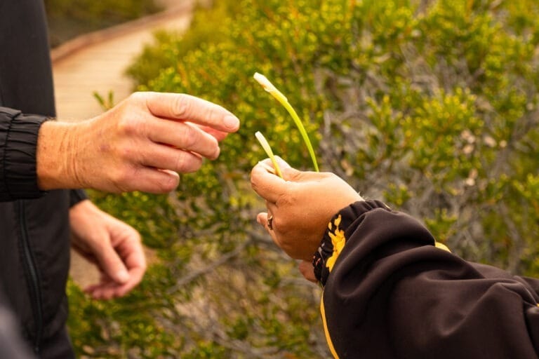 Aboriginal Business Leadership Initiative (ABLI) 2025-26